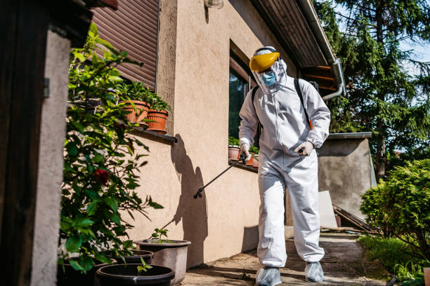 Best Flea Control Services  in Ken Caryl, CO