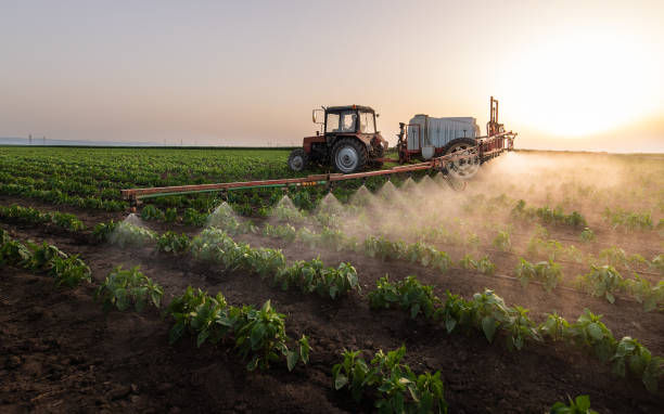 Best Pest Control Near Me  in Ken Caryl, CO