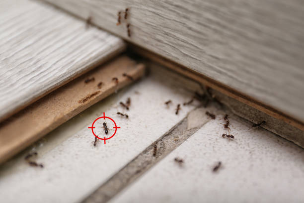 Ken Caryl, CO Pest Control Company