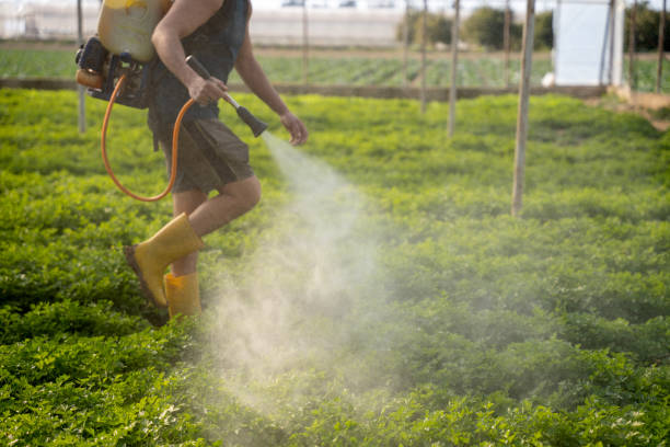 Pest Control for Restaurants in Ken Caryl, CO