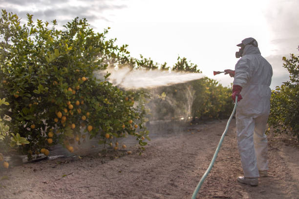 Best Affordable Pest Control Services  in Ken Caryl, CO