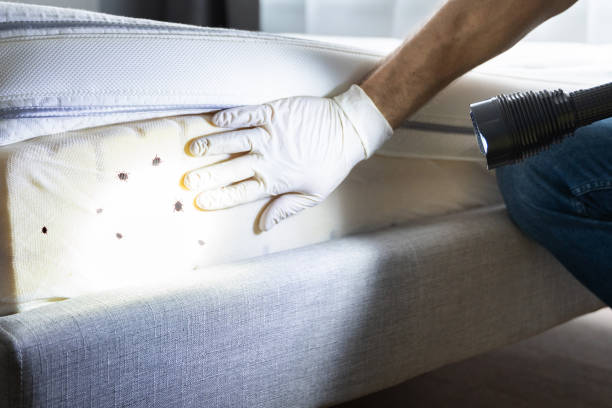 Best Commercial Pest Control Services  in Ken Caryl, CO